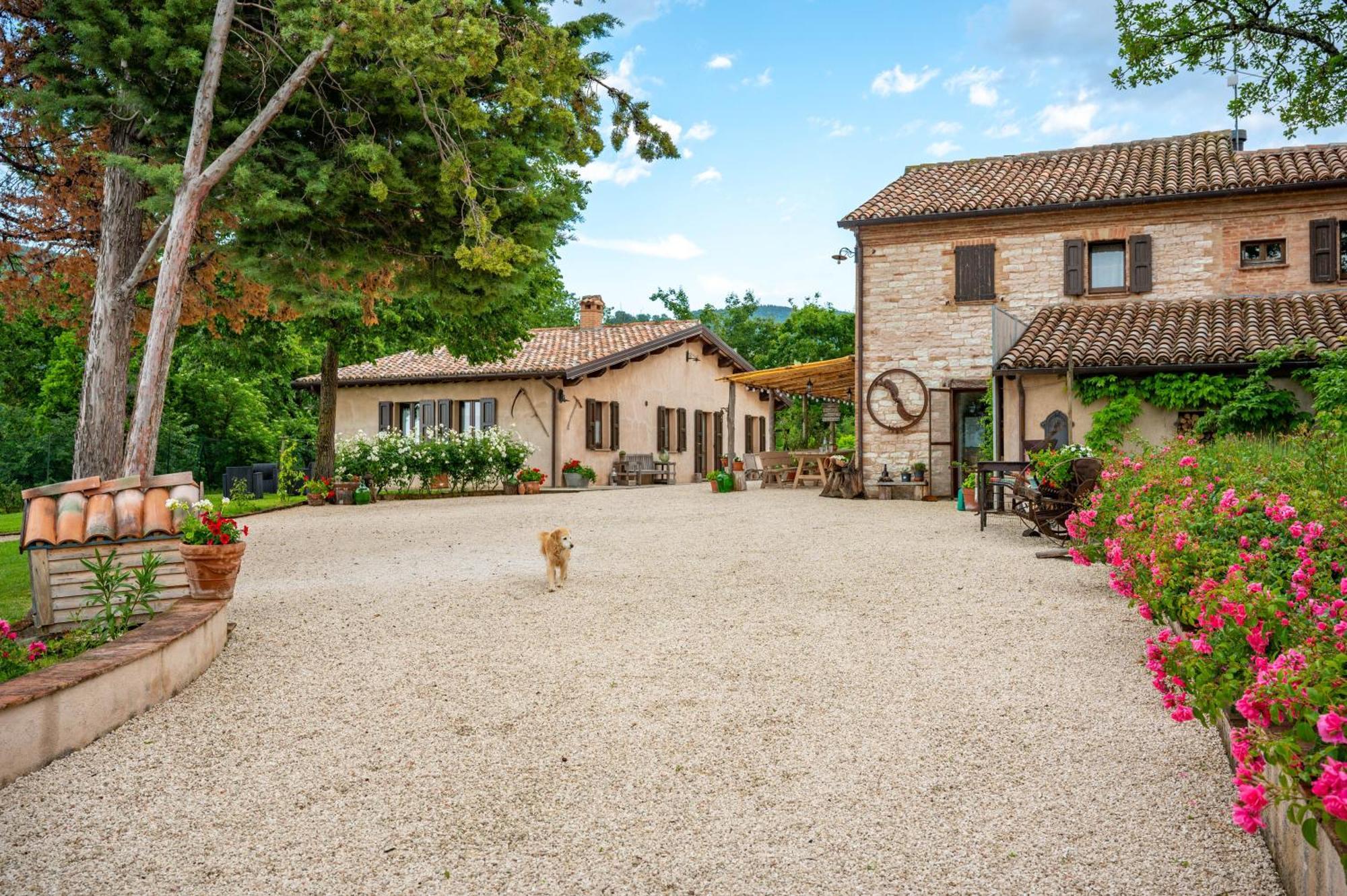 Agriturismo Il Castellaro Sassoferrato Εξωτερικό φωτογραφία