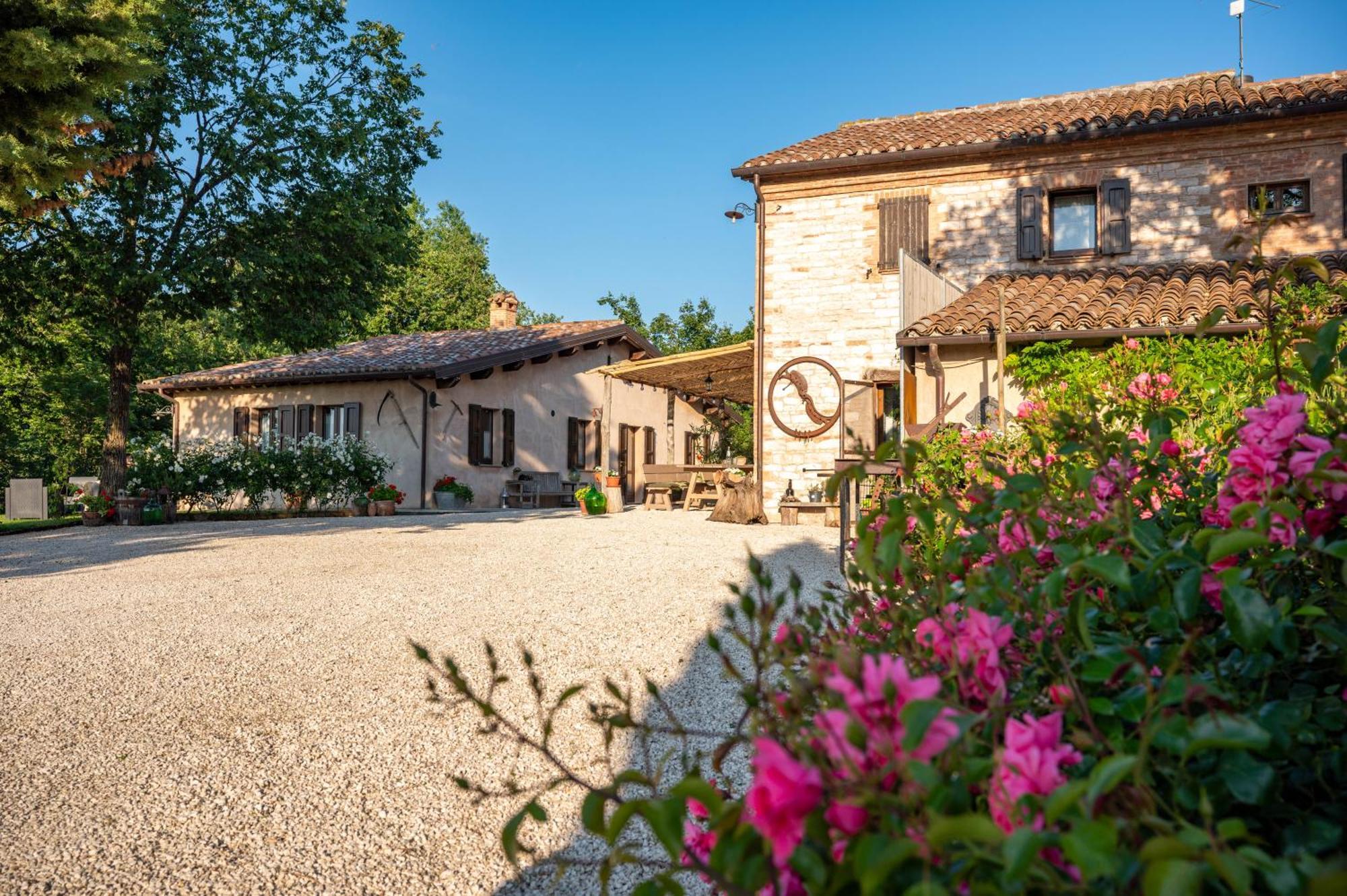 Agriturismo Il Castellaro Sassoferrato Εξωτερικό φωτογραφία